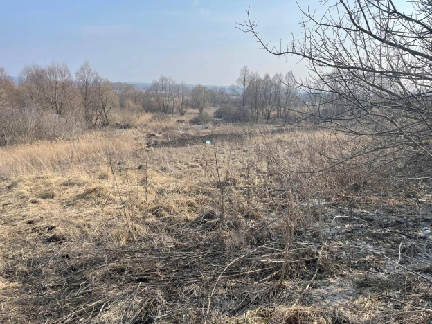 Купить земельный участок в Тамбовской области. Вариант № 30426, 1, площадь -  квм, цена 270000 рублей