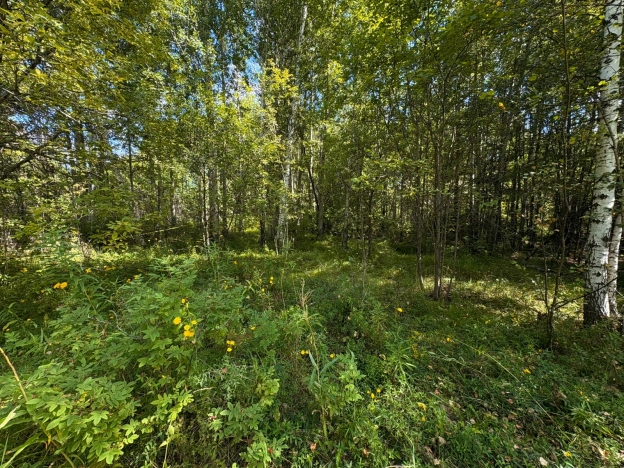 Купить земельный участок в Тобольске. Вариант № 1750903, 2, площадь -  квм, цена 2000000 рублей