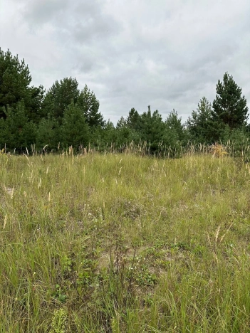 Купить земельный участок в Воронеже. Вариант № 3780263, 10, площадь - квм, цена 17980000 рублей