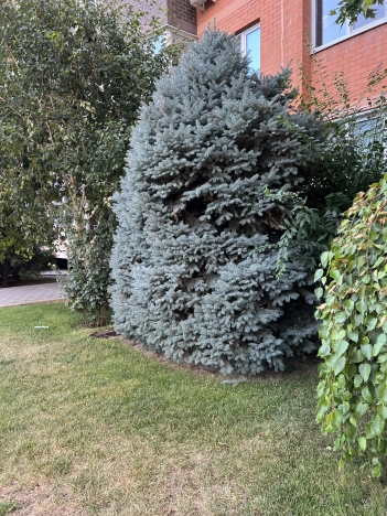 Купить квартиру в районе жилой  Восточный в Краснодаре. Вариант № 7202921, 26, площадь -  квм, цена 17400000 рублей