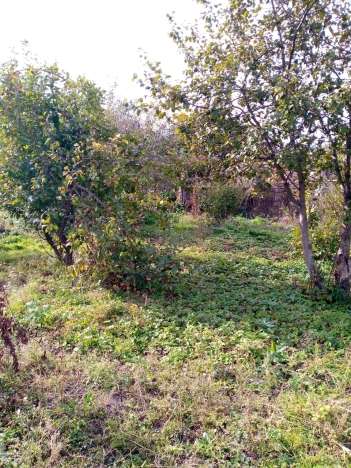 Купить дом в Республике Татарстан (татарстан). Вариант № 6891964, 3, площадь -  квм, цена 780000 рублей