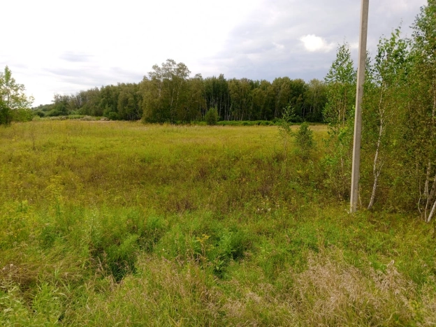 Купить земельный участок в Новосибирске. Вариант № 10650, 5, площадь -  квм, цена 599000 рублей