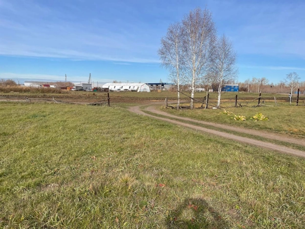 Купить земельный участок в Новосибирске. Вариант № 40375, 6, площадь -  квм, цена 650000 рублей