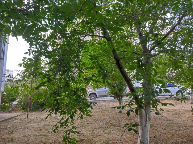 . Вариант № 58124, 15, площадь - 53.4 квм, цена 5499000 рублей