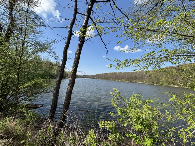 Купить земельный участок в Пензенской области. Вариант № 42750, 1, площадь -  квм, цена 2700000 рублей