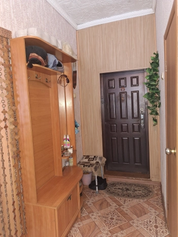 Купить однокомнатную квартиру на улице Центральная в Новосибирской области. Вариант № 8596, 10, площадь -  квм, цена 1450000 рублей