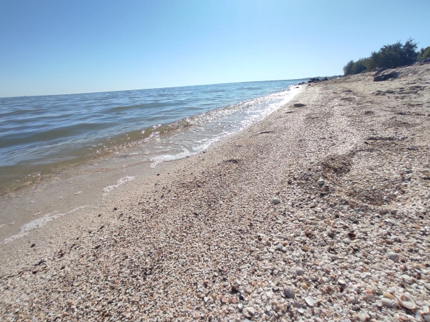 Купить трехкомнатную квартиру в Краснодарском крае. Вариант № 5453827, 19, площадь -  квм, цена 5800000 рублей