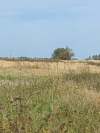 Купить земельный участок в Владимире. Вариант № 11037647, 15, площадь -  квм, цена 990000 рублей