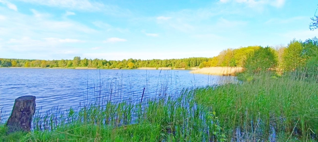 Купить земельный участок в Зеленоградске. Вариант № 46264, 0, площадь -  квм, цена 3000000 рублей