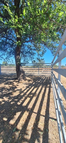 Купить дом на улице Васильковая в Краснодарском крае. Вариант № 5826056, 8, площадь -  квм, цена 8500000 рублей