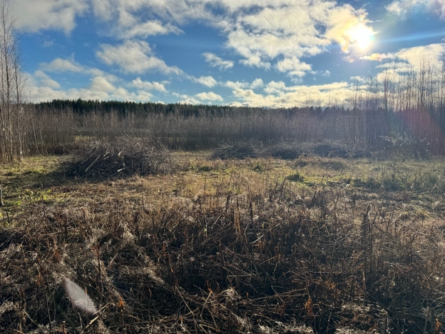 Купить земельный участок в Ярославской области. Вариант № 1309794, 1, площадь -  квм, цена 570000 рублей