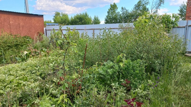 Купить земельный участок в Искитиме. Вариант № 19578, 23, площадь -  квм, цена 850000 рублей