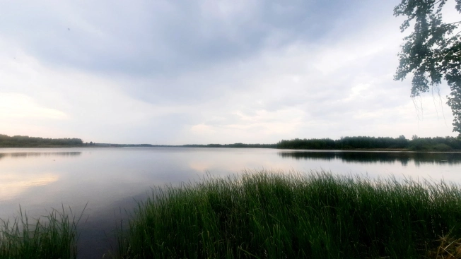 Купить земельный участок в Дзержинске. Вариант № 8551, 3, площадь -  квм, цена 600000 рублей