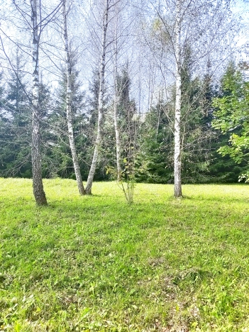 Купить дом в Москве. Вариант № 5377261, 40, площадь -  квм, цена 5100000 рублей