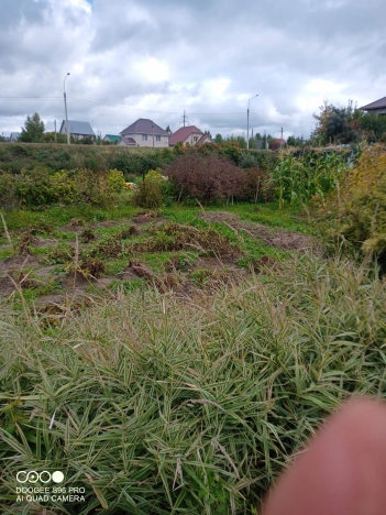 Купить земельный участок в Алтайском крае. Вариант № 3809392, 9, площадь -  квм, цена 1700000 рублей