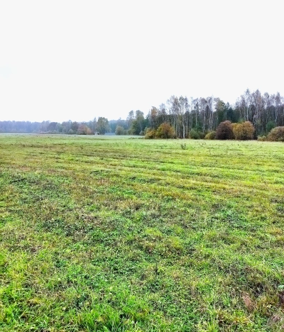 Купить земельный участок в Москве. Вариант № 9436036, 2, площадь -  квм, цена 49800000 рублей