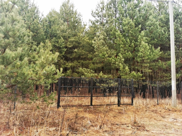 Купить земельный участок в Раменском. Вариант № 33115, 2, площадь -  квм, цена 2500000 рублей