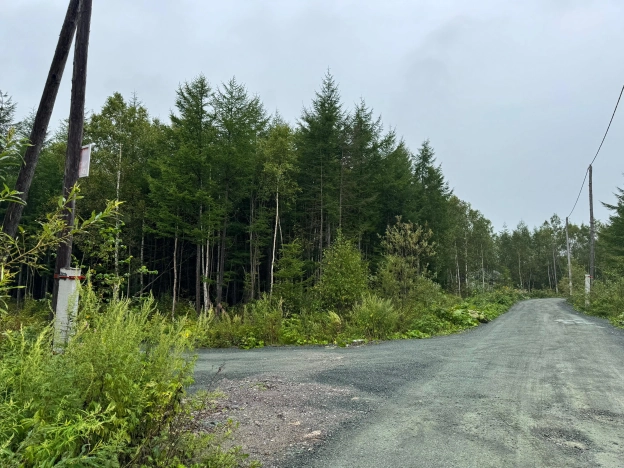 Купить земельный участок в Южно-Сахалинске. Вариант № 2807646, 0, площадь -  квм, цена 1200000 рублей