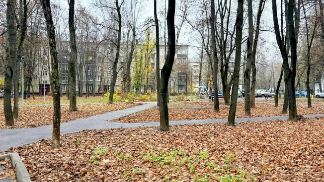 Купить квартиру в Москве. Вариант № 8867232, 21, площадь - квм, цена 24500000 рублей