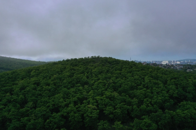 Купить двухкомнатную квартиру в Приморском крае. Вариант № 4136801, 3, площадь -  квм, цена 10592700 рублей