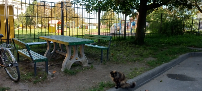 Купить трехкомнатную квартиру на улице Советская в Калининградской области. Вариант № 3306, 22, площадь -  квм, цена 6150000 рублей