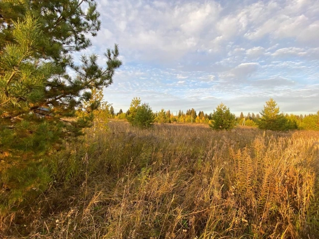 Купить земельный участок в Республике Татарстан (татарстан). Вариант № 10066225, 5, площадь -  квм, цена 600000 рублей