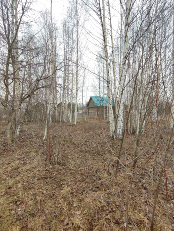 Купить земельный участок в Нижегородской области. Вариант № 31873, 17, площадь -  квм, цена 1150000 рублей