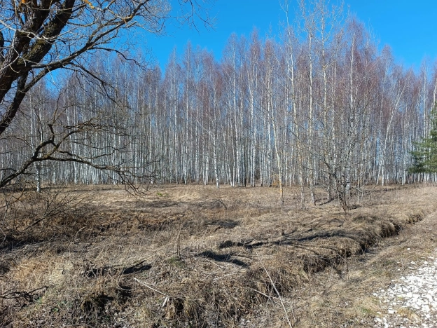 Купить земельный участок в Покрове. Вариант № 34974, 6, площадь -  квм, цена 4500000 рублей
