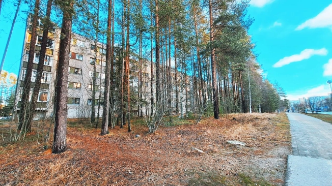 Купить однокомнатную квартиру в Республике Карелия. Вариант № 15704, 7, площадь -  квм, цена 3100000 рублей