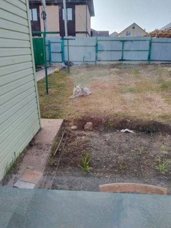 Купить таунхаус в Новосибирске. Вариант № 802463, 0, площадь -  квм, цена 5800000 рублей