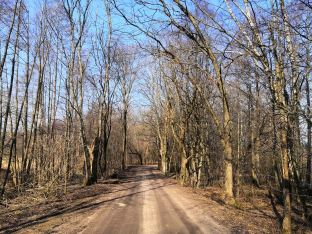 Купить земельный участок в Калининграде. Вариант № 1306, 1, площадь -  квм, цена 4000000 рублей