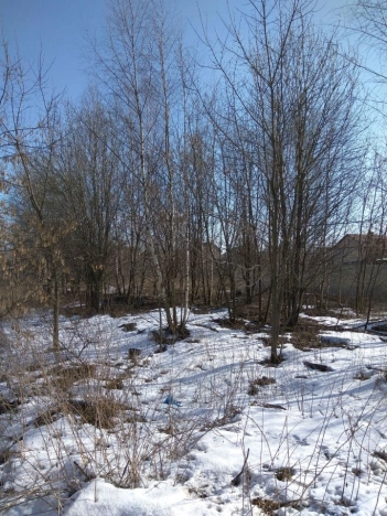 Купить земельный участок в Москве. Вариант № 53705, 0, площадь -  квм, цена 14900000 рублей