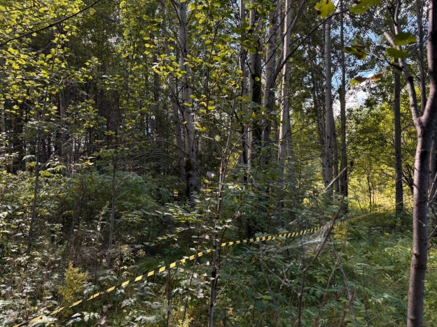 Купить земельный участок в Тобольске. Вариант № 1750903, 8, площадь -  квм, цена 2000000 рублей