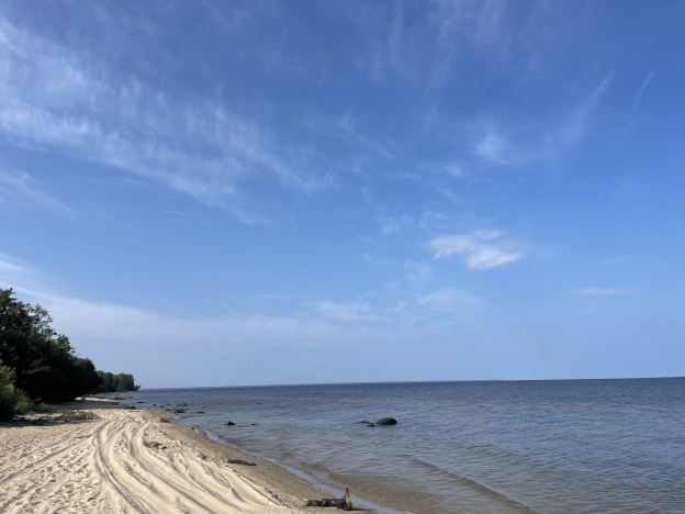 Купить земельный участок в Вологодской области. Вариант № 31896, 18, площадь -  квм, цена 5999000 рублей