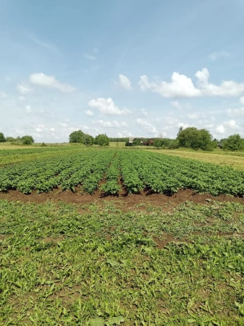 Купить дом на улице Троицкая в Ивановской области. Вариант № 41890, 22, площадь -  квм, цена 3150000 рублей