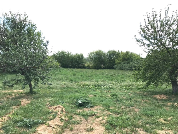 Купить дом в Таганроге. Вариант № 45845, 4, площадь -  квм, цена 1799999 рублей