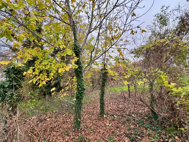 Купить земельный участок в Новороссийске. Вариант № 9534116, 2, площадь -  квм, цена 3320000 рублей