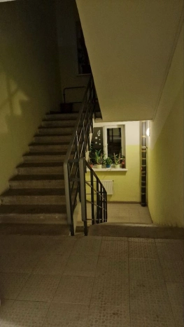 Купить квартиру у метро Парнас в Ленинградской области. Вариант № 2187398, 17, площадь -  квм, цена 4700000 рублей