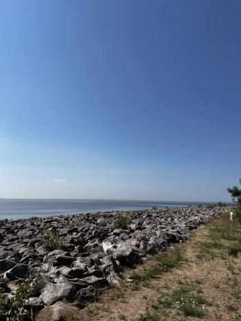 Купить Студию на вторичке в ЖК Морская набережная в Санкт-Петербурге. Вариант № 1625679, 3, площадь -  квм, цена 5800000 рублей