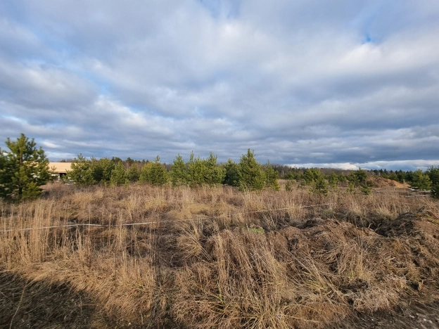 Купить земельный участок в районе Октябрьский в Владимире. Вариант № 20353, 1, площадь -  квм, цена 1650000 рублей