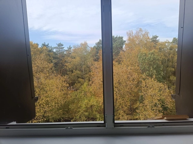 . Вариант № 3374, 14, площадь - 68.5 квм, цена 11000000 рублей