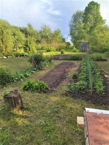 Купить земельный участок в Юрьеве-Польском. Вариант № 2989, 5, площадь -  квм, цена 584000 рублей