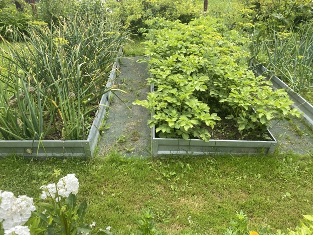 Купить дачу в Калуге. Вариант № 885078, 19, площадь -  квм, цена 820000 рублей