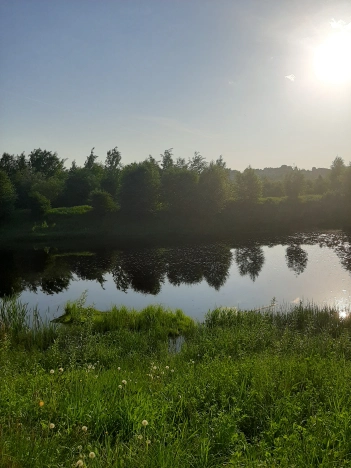 Купить земельный участок в Республике Коми. Вариант № 26704, 2, площадь -  квм, цена 750000 рублей