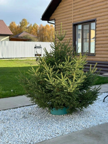 Купить дом на улице Административная в Иркутской области. Вариант № 7763855, 4, площадь -  квм, цена 10300000 рублей