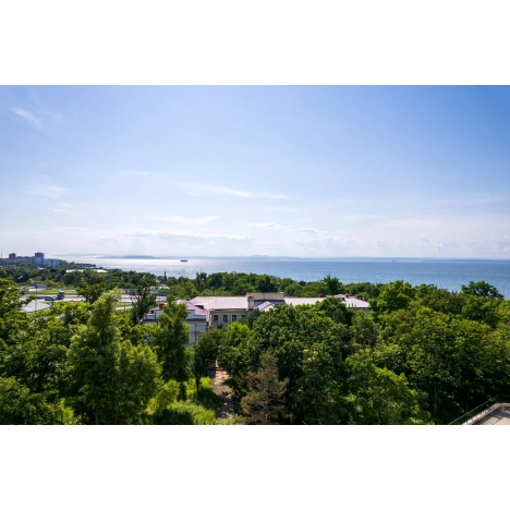 Купить двухкомнатную квартиру на улице Маковского в Владивостоке. Вариант № 4830156, 3, площадь -  квм, цена 16005700 рублей