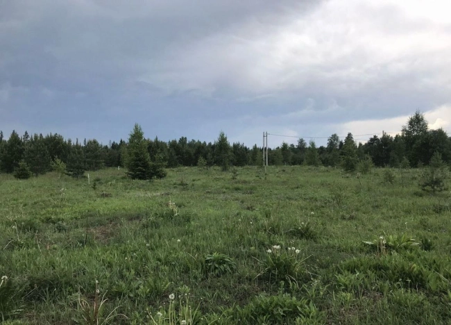 Купить земельный участок в Иванове. Вариант № 38333, 1, площадь -  квм, цена 950000 рублей