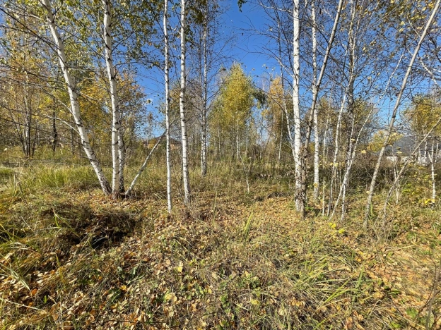 Купить земельный участок в Искитиме. Вариант № 1894947, 6, площадь -  квм, цена 2200000 рублей