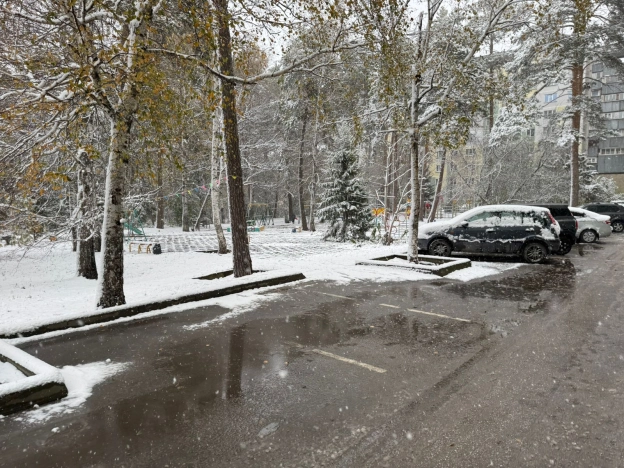 Купить однокомнатную квартиру в районе Советский в Новосибирске. Вариант № 6884269, 2, площадь -  квм, цена 4500000 рублей