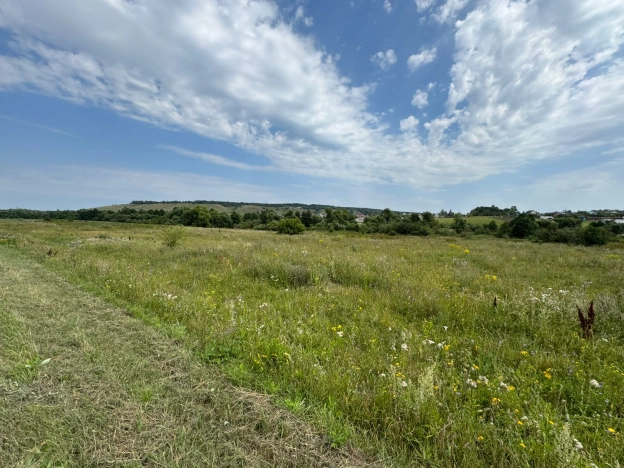 Купить земельный участок в Пензе. Вариант № 1391356, 6, площадь -  квм, цена 1900000 рублей